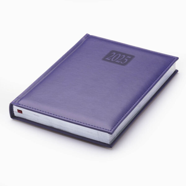 Purple Rio Diary
