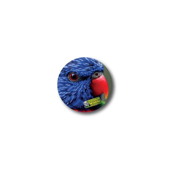 Circle Fridge Magnet - Image 4