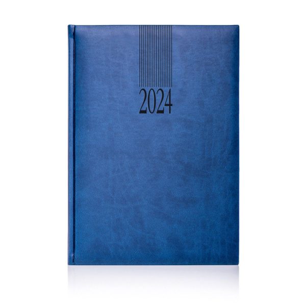 blue Tucson Diary 2024
