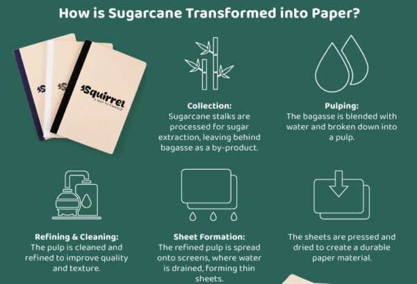 sugarcane into paper