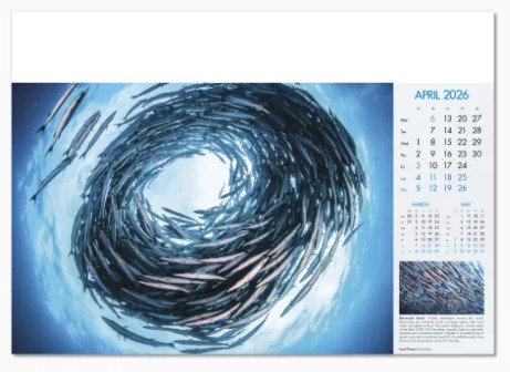 Blue Planet Branded Wall Calendar April