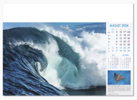 Blue Planet Branded Wall Calendar August