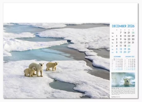 Blue Planet Branded Wall Calendar December