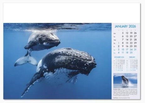 Blue Planet Branded Wall Calendar January