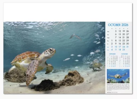 Blue Planet Branded Wall Calendar October