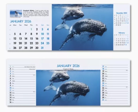 Blue Planet Desk Branded Calendar January