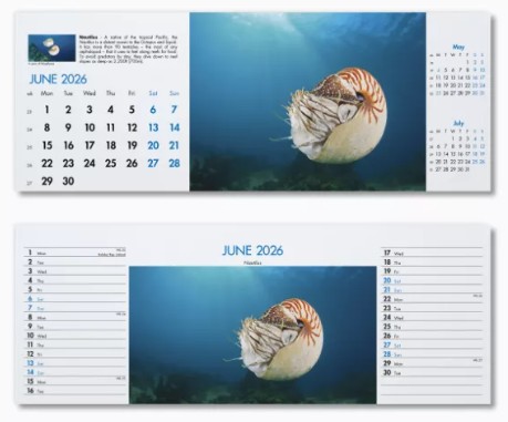 Blue Planet Desk Branded Calendar June