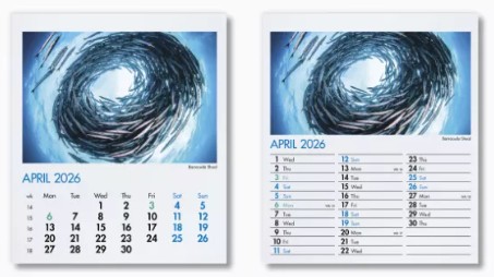 Blue Planet Mini Desk Branded Calendar April
