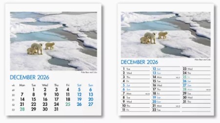 Blue Planet Mini Desk Branded Calendar December