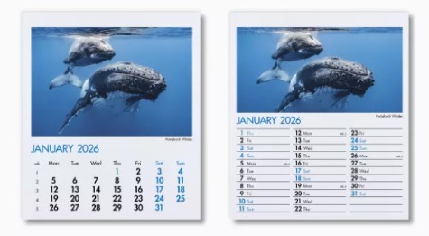 Blue Planet Mini Desk Branded Calendar January