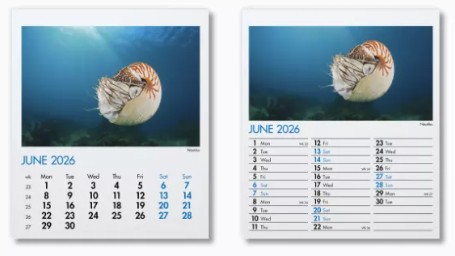 Blue Planet Mini Desk Branded Calendar June