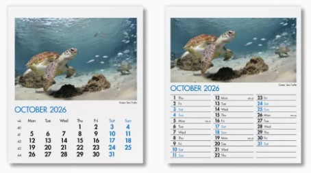 Blue Planet Mini Desk Branded Calendar October