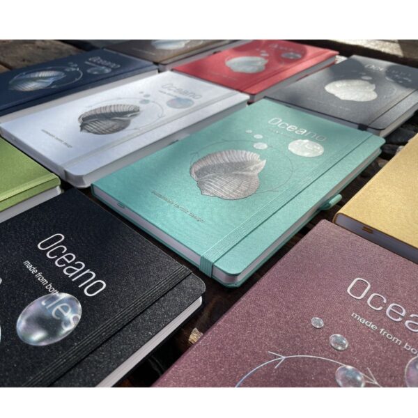 Oceano group